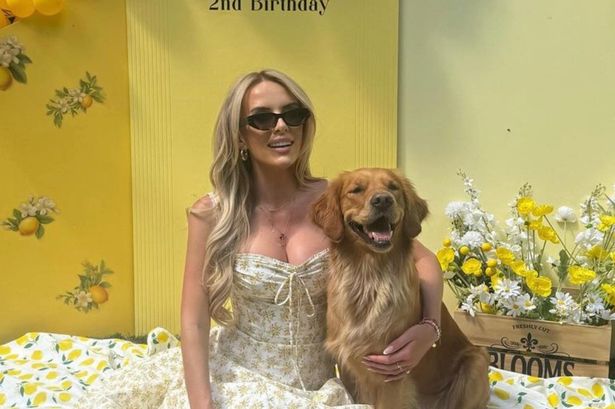 Inside Faye Winter’s extravagant summer solstice-themed 2nd birthday party for beloved dog Bonnie