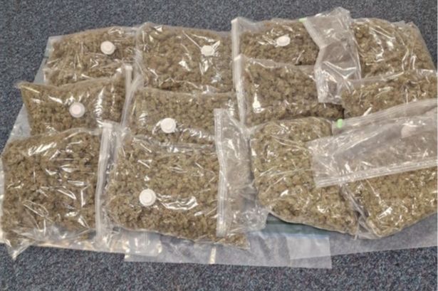 M6 cops seize £50k in cannabis from BMW after pulling over driver