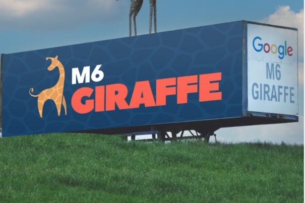 Bosses give update on M6 Giraffe two years after the motorway landmark was damaged in a storm