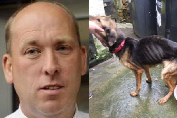 Shock death of hero RSPCA officer who rescued thousands of animals