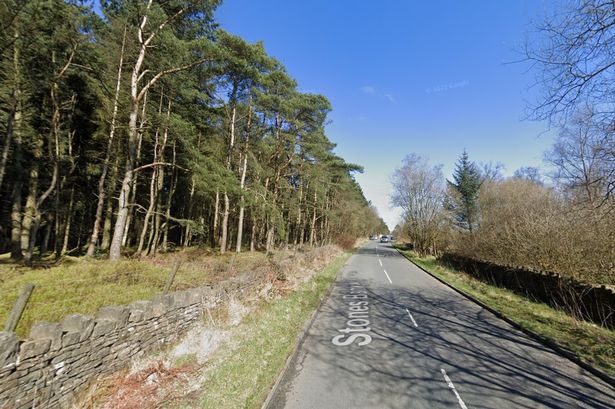 Horror as dog found hanged off rural road after being ‘deliberately thrown down embankment’