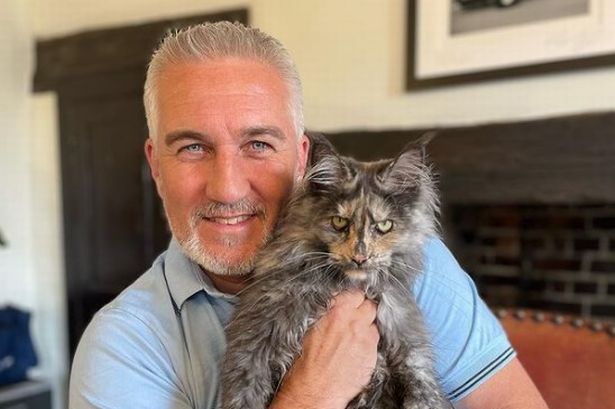 Paul Hollywood praises ‘hero’ Supervet Noel Fitzpatrick for saving his cat after horrific injuries