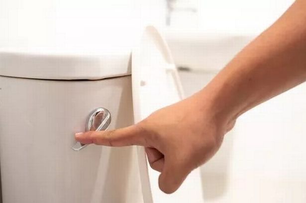 Households who flush toilet ‘five times a day’ could save hundreds on water bill