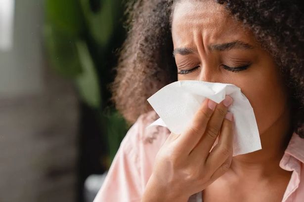 Experts warning over hay fever symptoms that may be new Covid variant