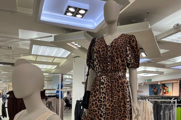 ‘I’m a fashion editor and I’m obsessed with this £45 leopard print dress from M&S’