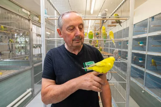 Inside retired couple’s Goosnargh home, complete with 300 budgies and a garden that puts Eden Project to shame