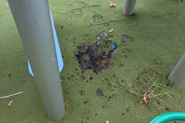 Dad slams ‘selfish’ yobs who tried to set fire to park’s new £165k play area