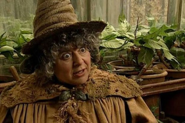 Harry Potter’s Miriam Margolyes blasted by co-star for ‘terrible’ 2-word put-down of fan