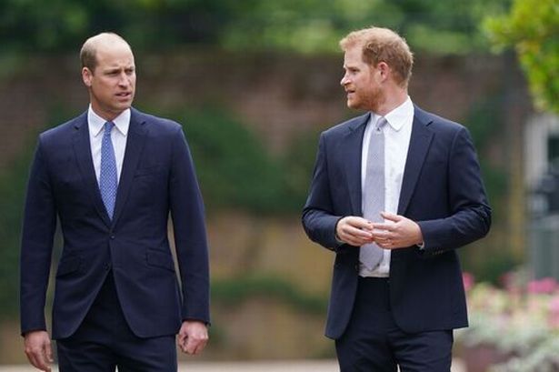 Prince Harry and William’s feud laid bare in a single gesture as they are spotted together at memorial