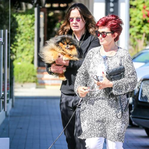 Ozzy Osbourne mourns death of beloved pooch