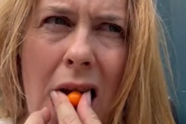 Fears for 90s icon Alicia Silverstone as she shares video eating ‘poisonous fruit’ – and hasn’t been heard from since