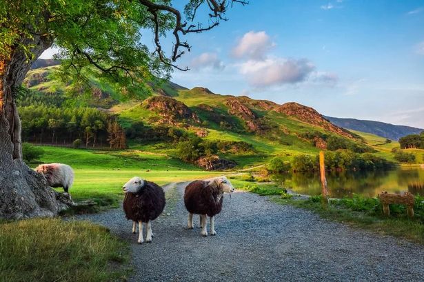 The ‘world’s happiest travel destination’ is just a short drive from Lancashire