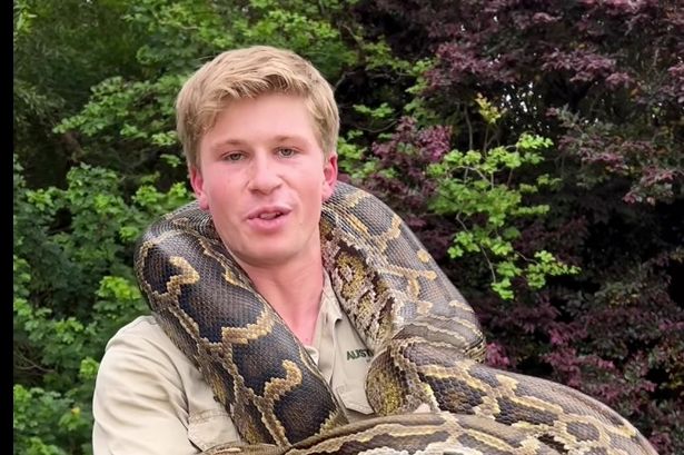 Steve Irwin’s son ‘smashes head into tree’ in terrifying accident while catching crocodiles