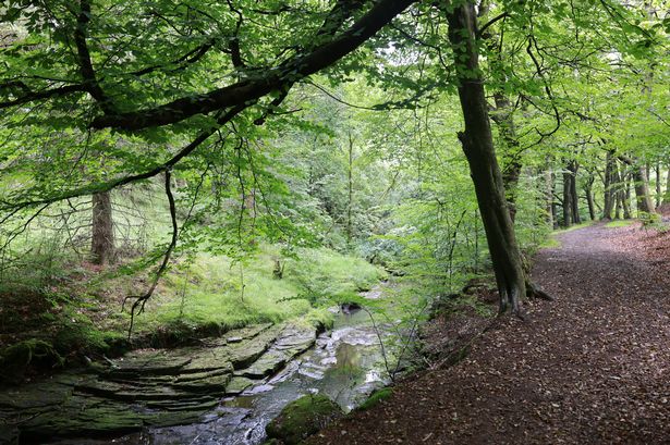 This stunning Lancashire walk has waterfalls, ruins, and a pub at the end