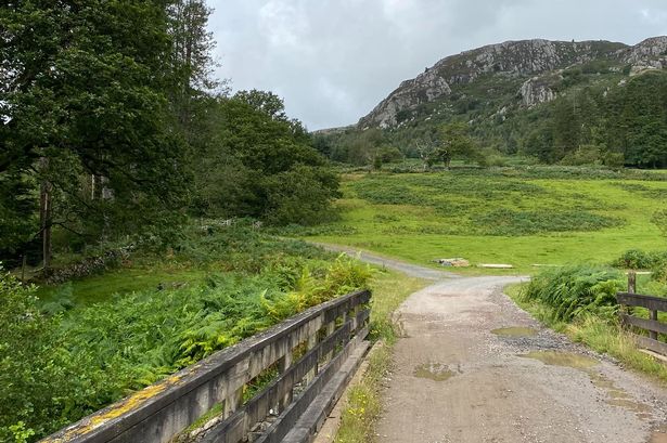 Lake District tragedy as walker dies after suffering cardiac arrest in forest