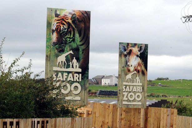 Cumbria zoo told to ‘secure Prairie dogs’ and fix heating in old giraffe house