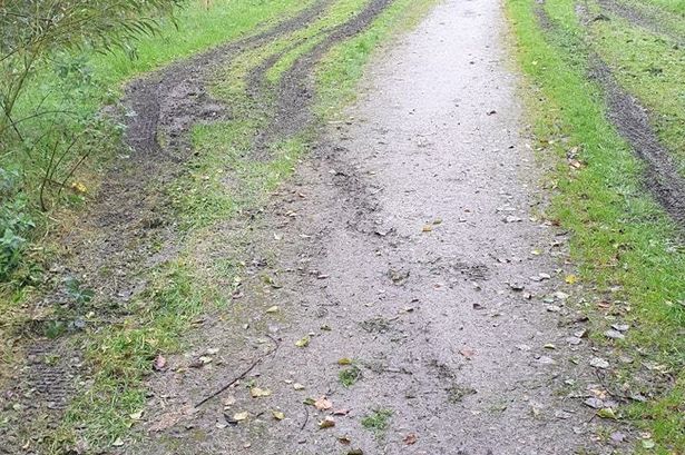 Council ‘incredibly sorry’ as wildlife destroyed at Lancashire beauty spot