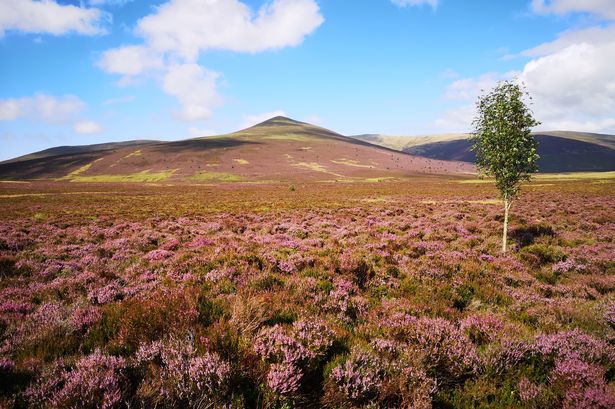 Countryfile’s Julia Bradbury backs appeal to buy England’s ‘highest nature reserve’