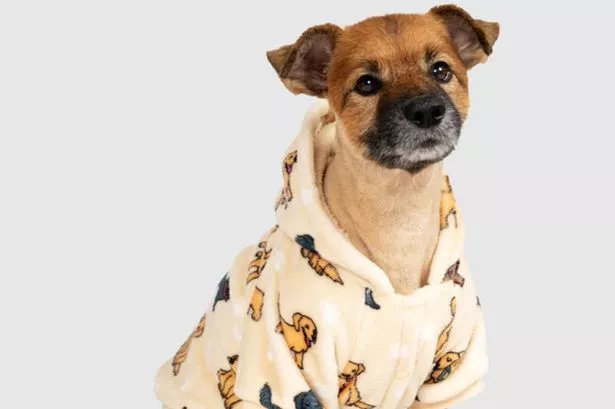 Cosy pet Oodie that ‘receives lots of compliments’ has shoppers raving it’s ‘so good for winter’