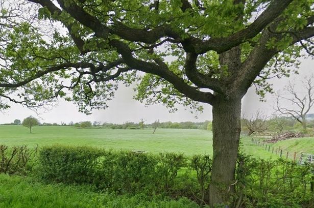 Preston dog field wins planning permission six months after opening