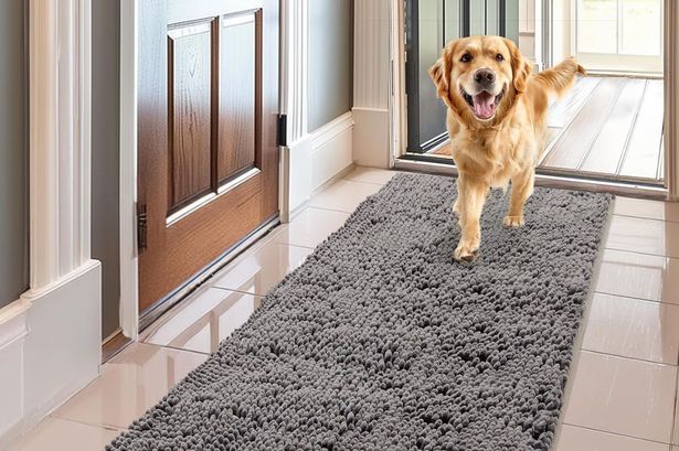 ‘A must-have for any household’ – the rug that ‘significantly reduces mess’ is ideal for autumn as it hits sale