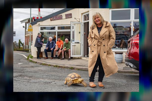 ‘I take my giant pet tortoise to the pub, he stops traffic as drivers don’t believe their eyes’