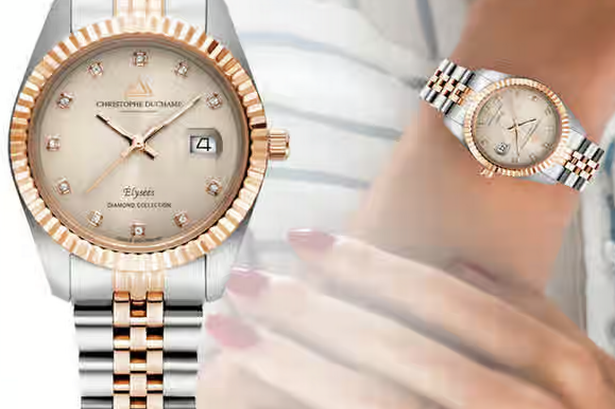 Luxury £1,450 Swiss engineered watch slashed by 92% to £149 online