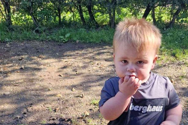 Boy, 2, killed by falling TV and fireplace was dancing in living room before tragic death