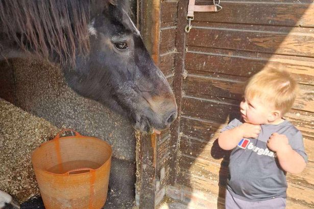 Tragic final photo of boy, 2, taken minutes before he died in fireplace accident