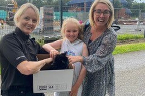 The injured Lancashire cat reunited with his owners 9 years after going missing