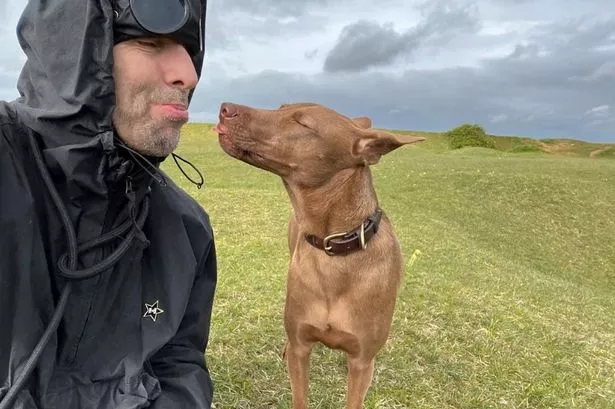 Liam Gallagher’s exact waterproof gloves are perfect for dog walks in the rain