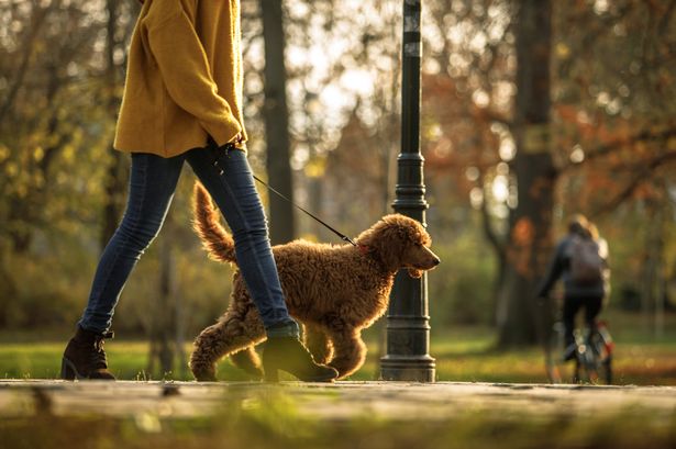 ‘Love these!’– M&S shoppers rave about new £35 all-weather boots