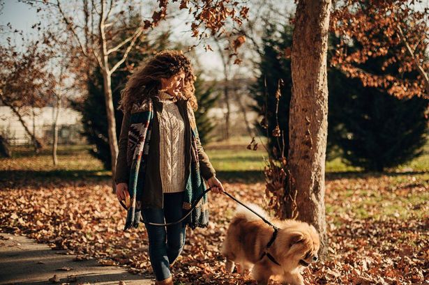 ‘Godsend’ Waterproof ankle boots that feel ‘like wearing slippers’ are ideal for long autumn walks