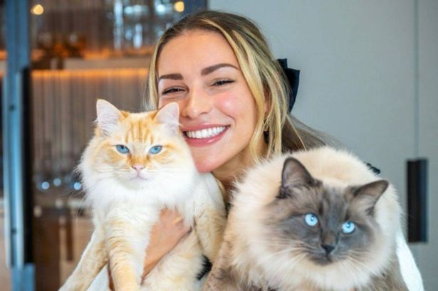 Zara McDermott says cat owners ‘literally have to buy’ the bed her pets are ‘so obsessed with’