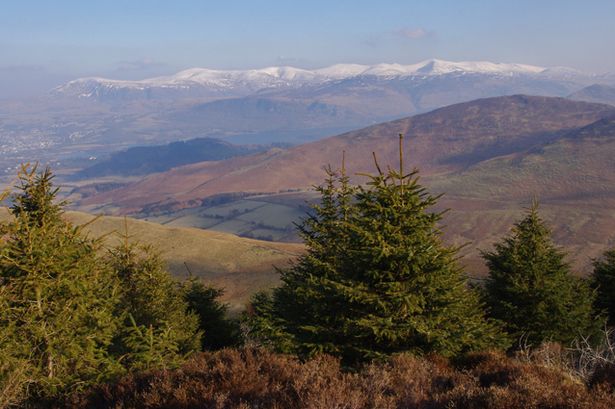 The Lake District forest named one of the best in UK for ‘ultimate autumnal scenes’