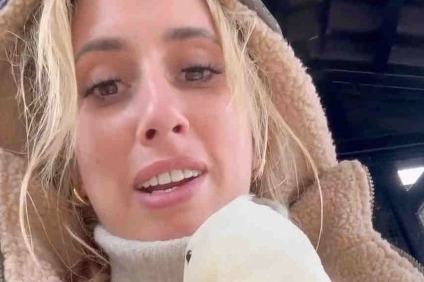 Stacey Solomon announces plans to set up rescue sanctuary in heartwarming update