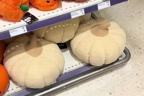 Shoppers in hysterics over £15 John Lewis Halloween prop that ‘looks like something very rude’