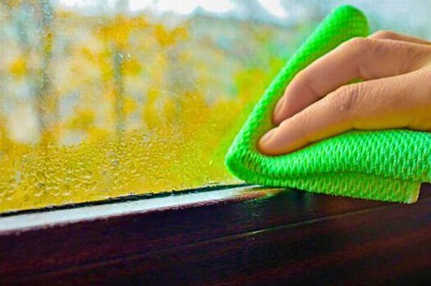 Simple kitchen cupboard item will stop condensation on your windows for good