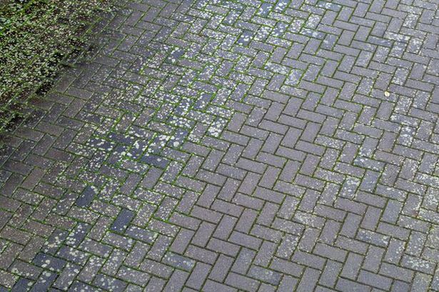 Remove moss from driveways with £1 ‘magic’ solution