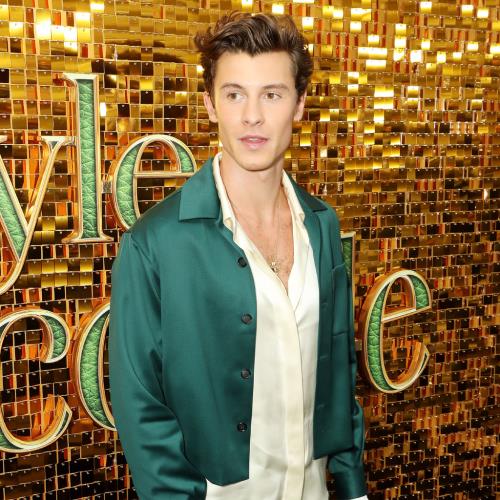 Shawn Mendes postpones self-titled album