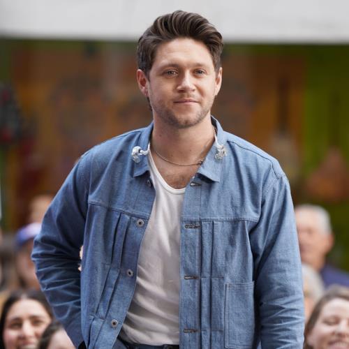 Niall Horan ‘feels so fortunate’ he saw Liam Payne before his death