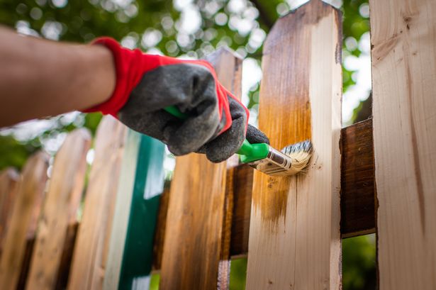 Best paint colour for garden fences to make space bigger and ‘like new’