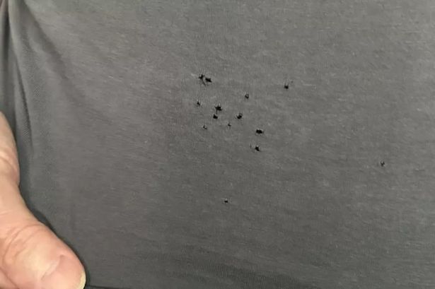 People are only just realising what tiny holes that re-appear on T-shirts are