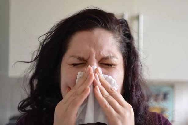 ‘Double whammy of infections’ leaves everyone with blocked nose and cough