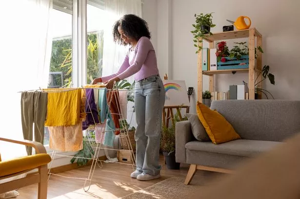 Martin Lewis says to replace ‘demon’ appliance with dehumidifier to save money on energy bills