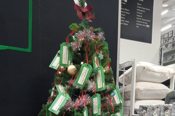 People ‘in tears’ over Dunelm’s meaningful Christmas trees with important messages