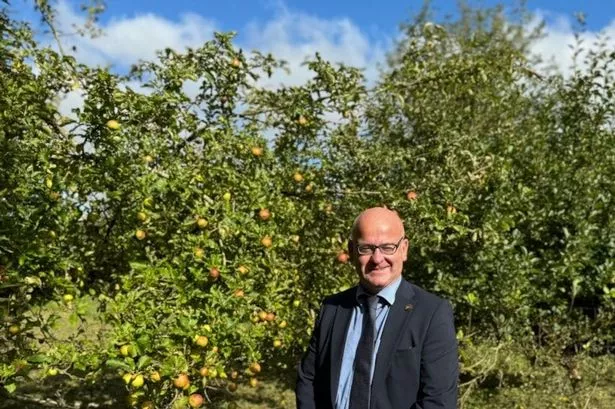 The £1m fund which means 965 trees can be planted across Lancashire