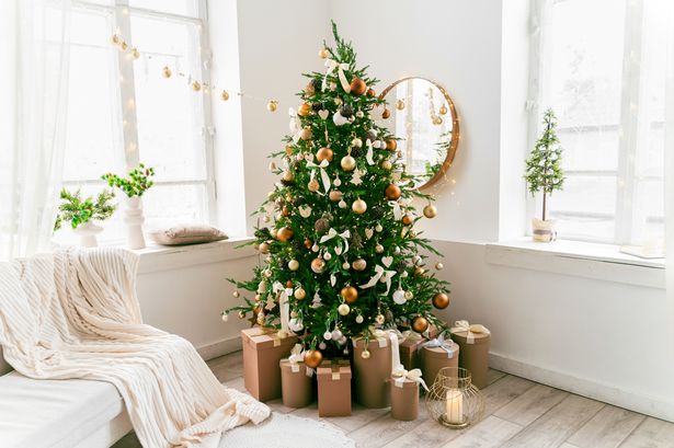 Expert unveils the ‘exact date’ you should take down your Christmas tree