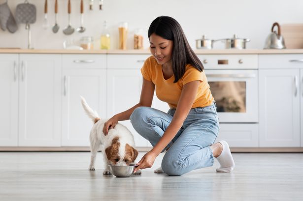 ‘I won’t eat anything cooked in kitchens where dogs are there – it’s gross’