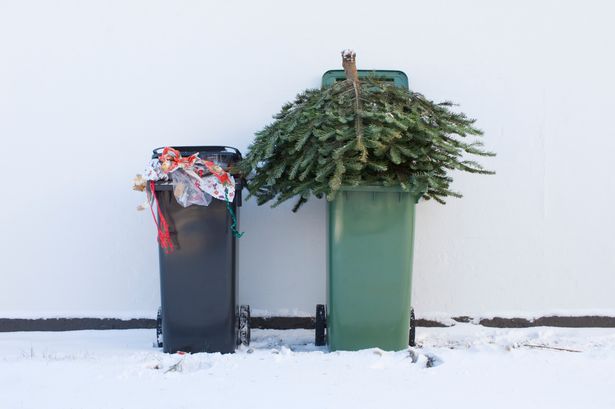 Expert shares three ways to use old Christmas tree – and one thing you shouldn’t do